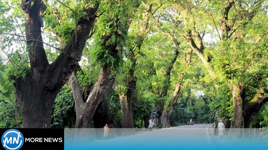 পশ্চিমবঙ্গ ও খুলনা রোড দ্রুত সম্প্রসারণের আবেদন বিজেপির, কারণ কী?