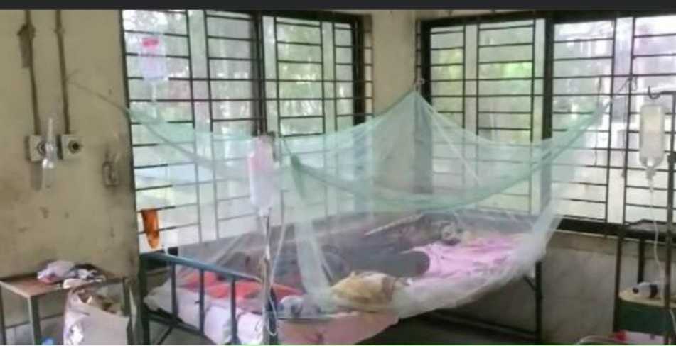 21 new people in another 24 hours in Tangail Dengue fever patient identified